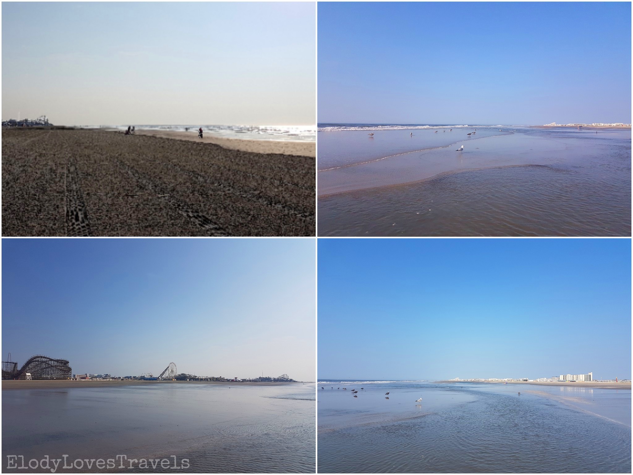 PicsArt_01-21-03.24.05