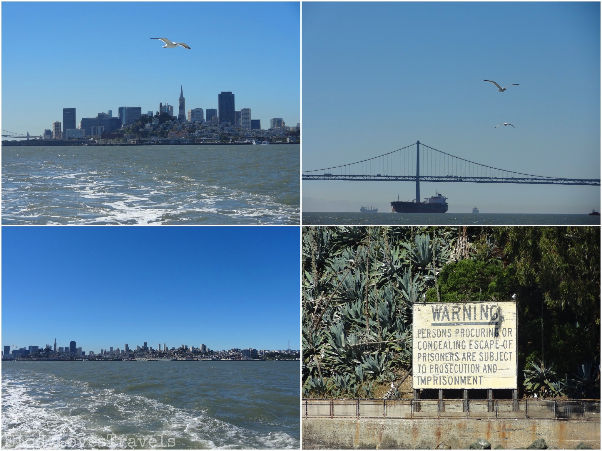 PicsArt_02-18-01.48.06