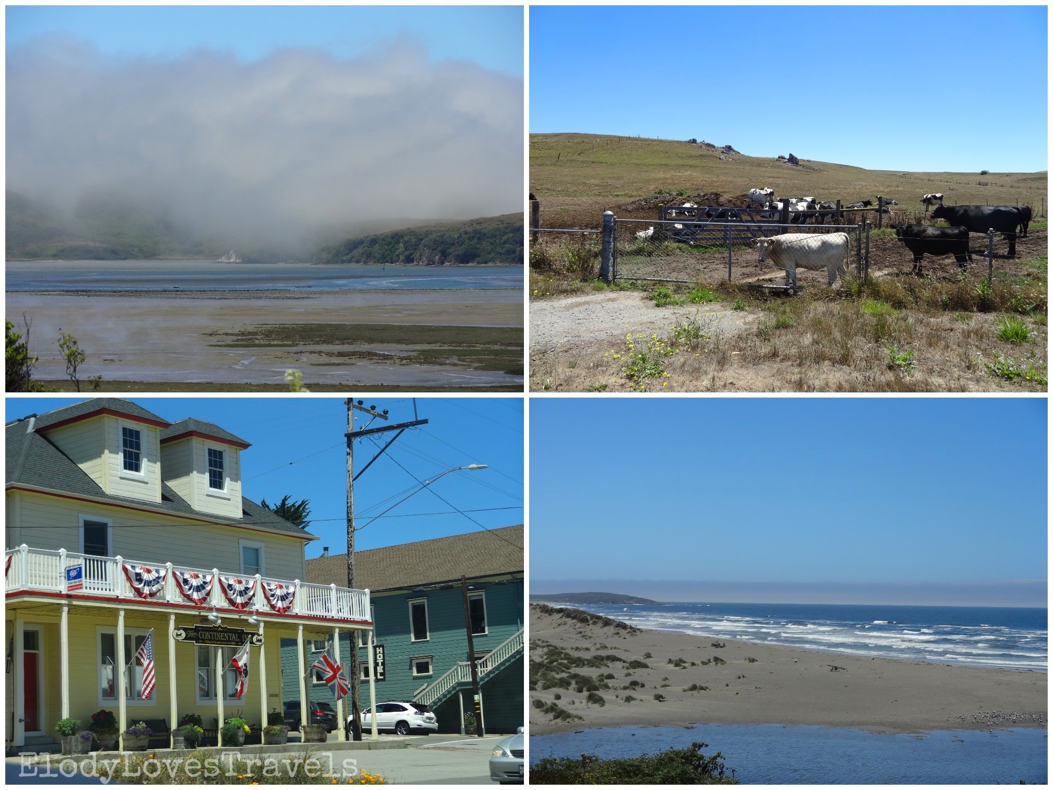 PicsArt_02-18-01.54.58