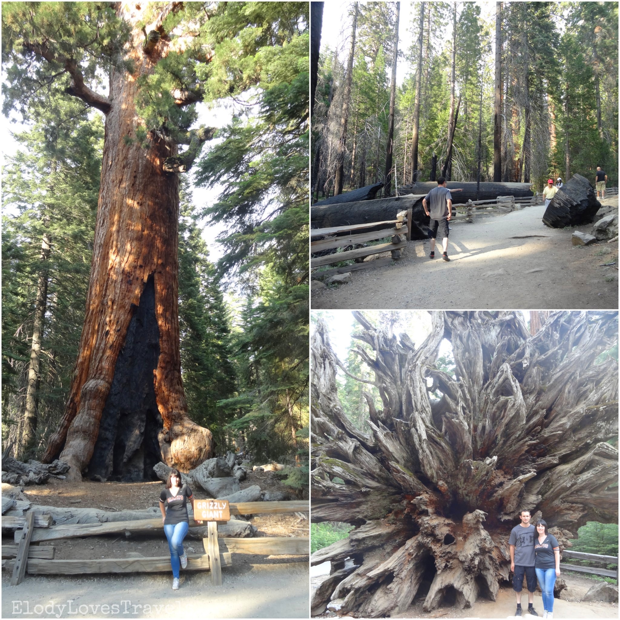 PicsArt_02-18-02.23.20