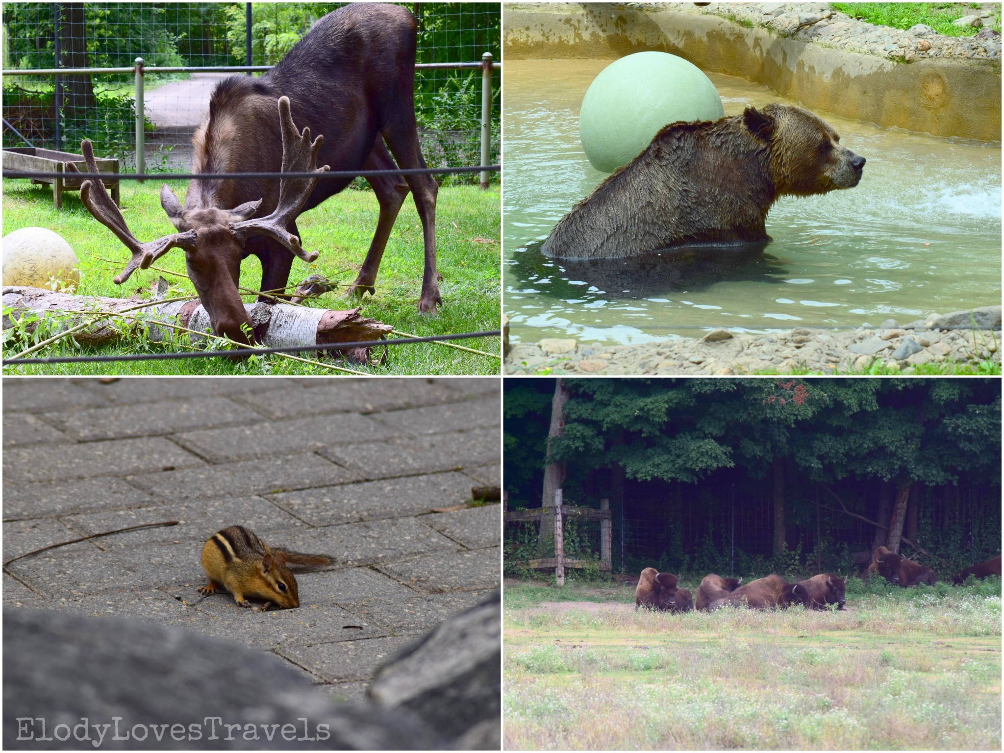 PicsArt_02-18-06.34.08