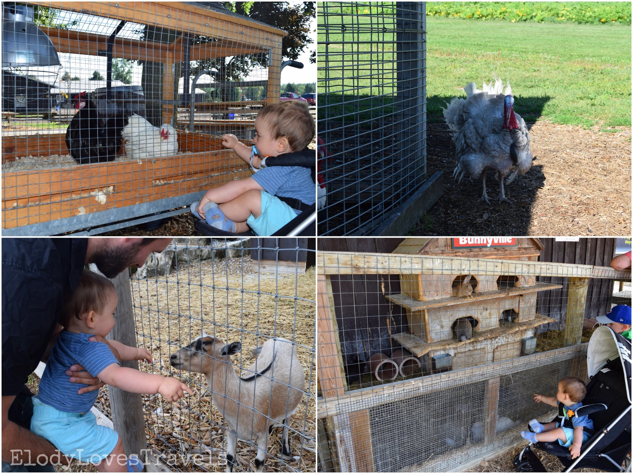 PicsArt_02-18-06.42.46