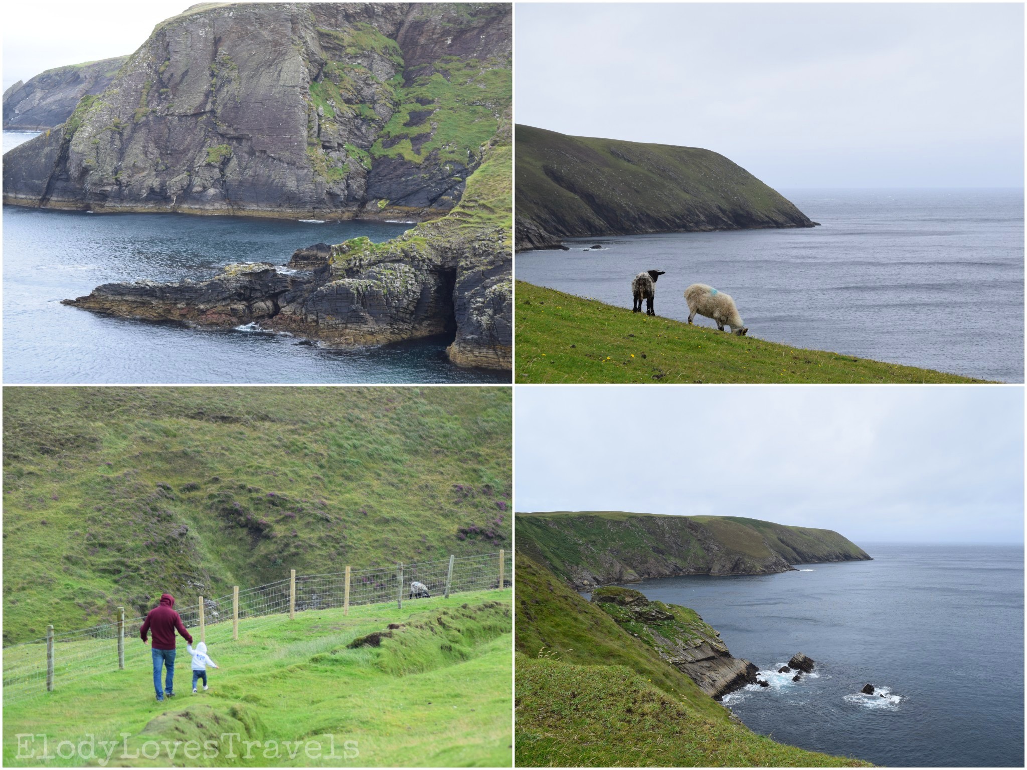 PicsArt_02-19-06.34.05