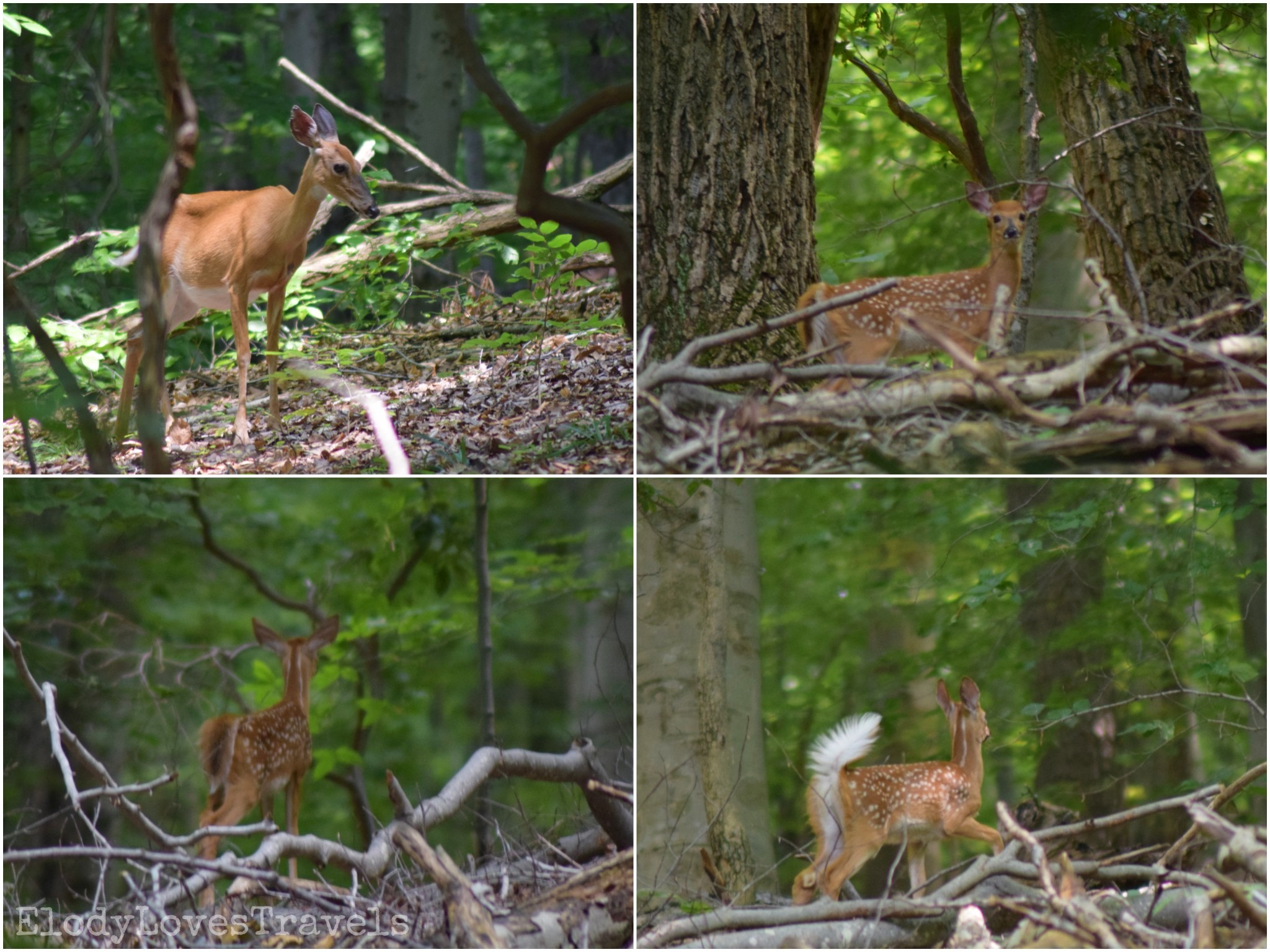 PicsArt_02-20-06.37.24