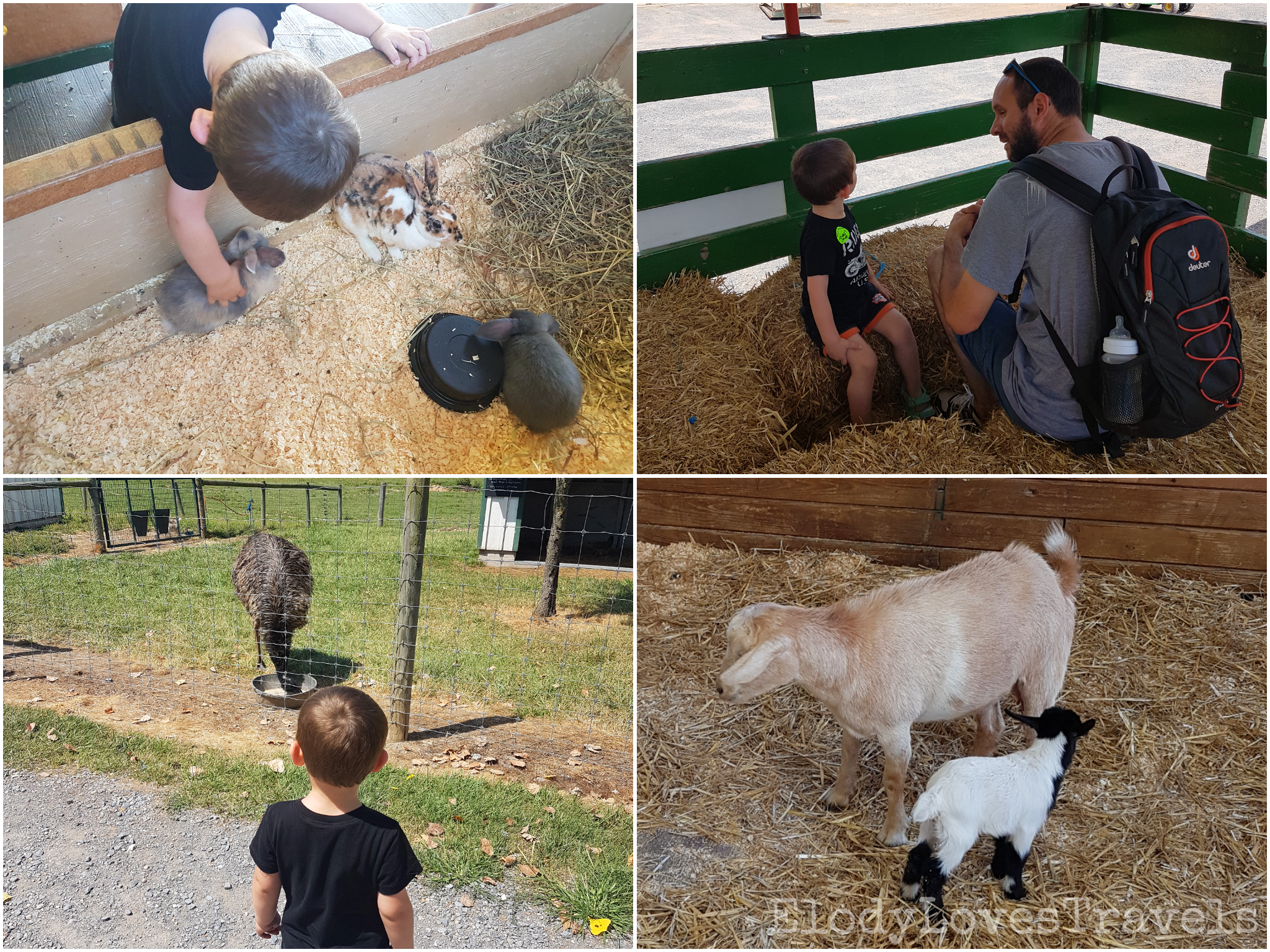 PicsArt_03-04-06.06.10