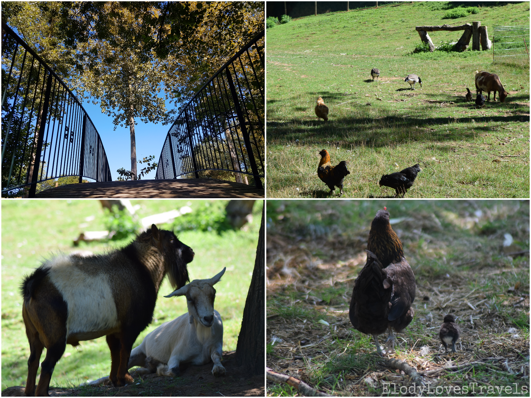 PicsArt_03-15-03.43.42