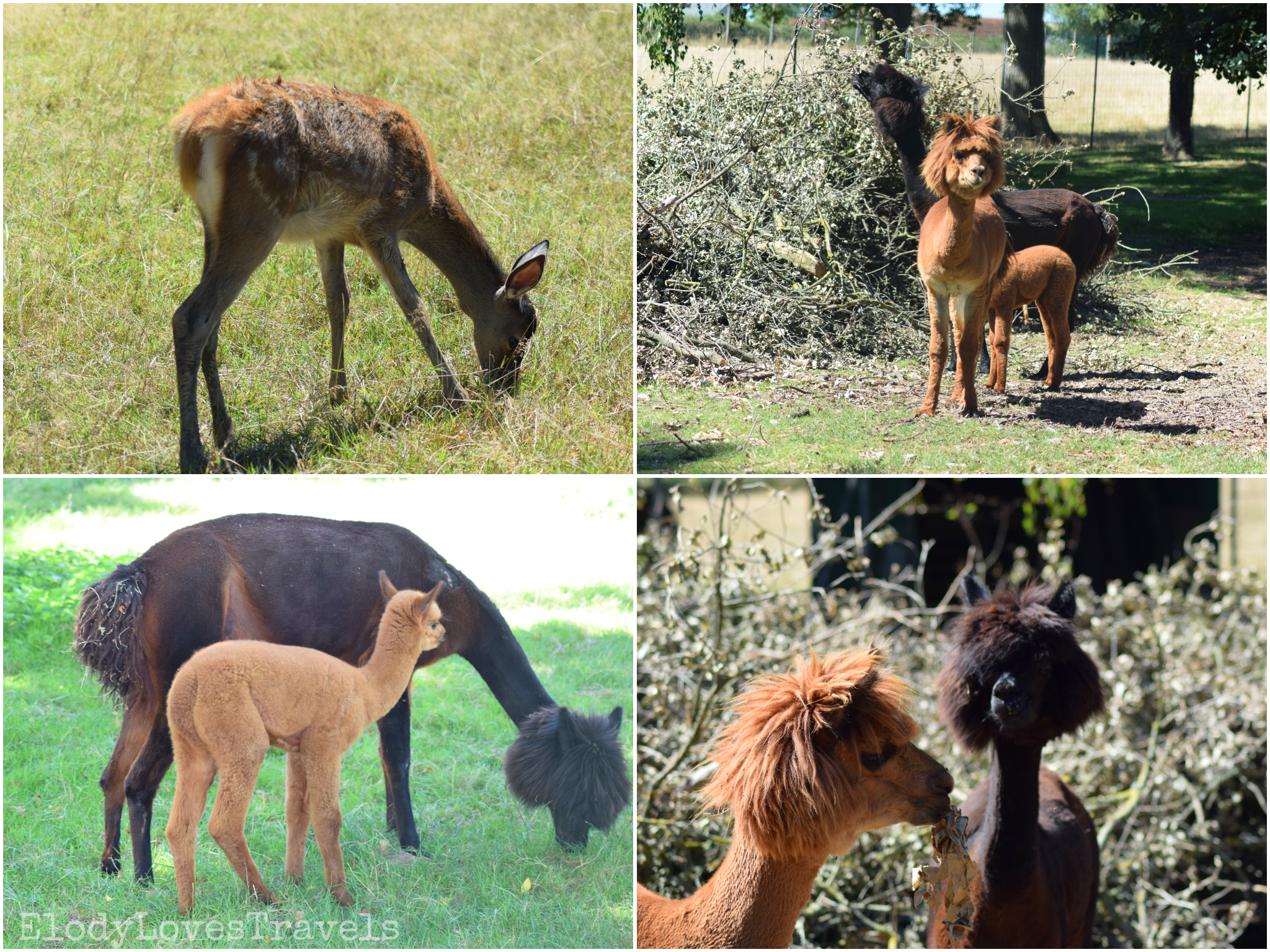 PicsArt_03-15-03.53.14