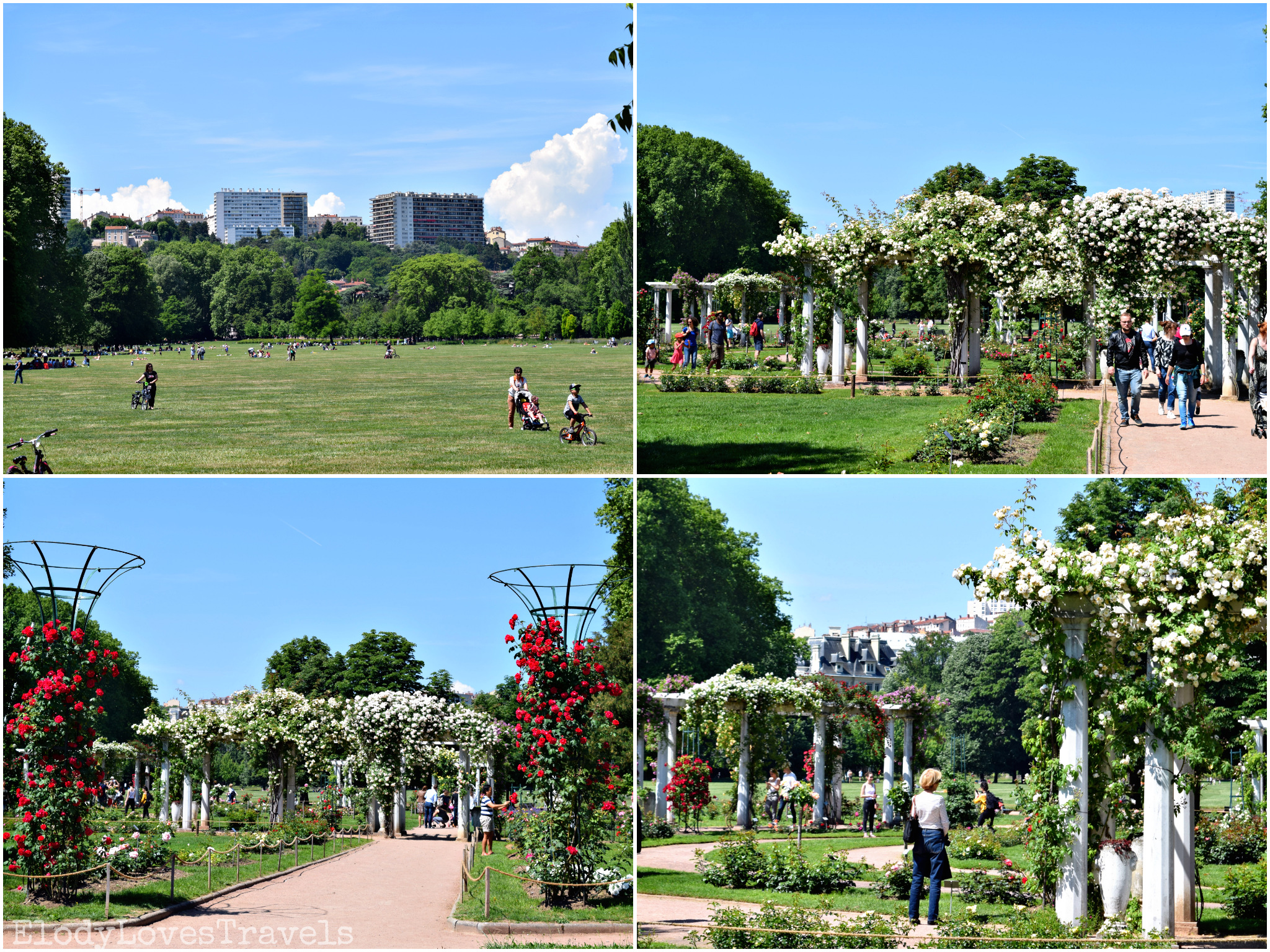 Parc de la tête d'or 3
